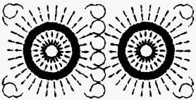 長方形池（長：寬＜2:1）